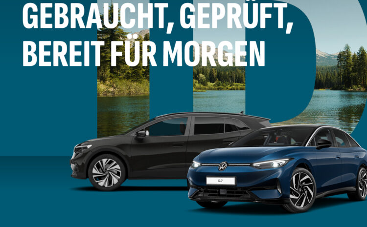  Junge gebrauchte ID.s